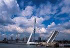  The Erasmus Bridge, Rotterdam